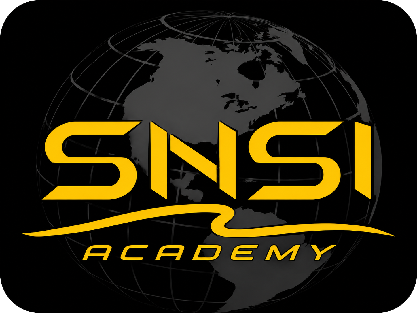 SNSI Academy